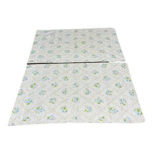 Cannon Monticello Vintage Victorian Floral Flower Pillowcases Set of Two Blue